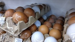 Яйца на Сахалин завезут из четырех регионов России