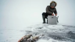 Сахалинских рыбаков предупредили об опасности выходить на лед 12 февраля