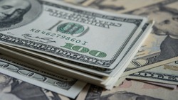 Каким будет курс доллара весной 2025 года: мнение россиян
