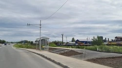 Общую черту Чикаго и Южно-Сахалинска назвал урбанист Вишневский