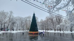 Новогоднюю елку для жителей Южно-Сахалинска поставили в парке имени Гагарина