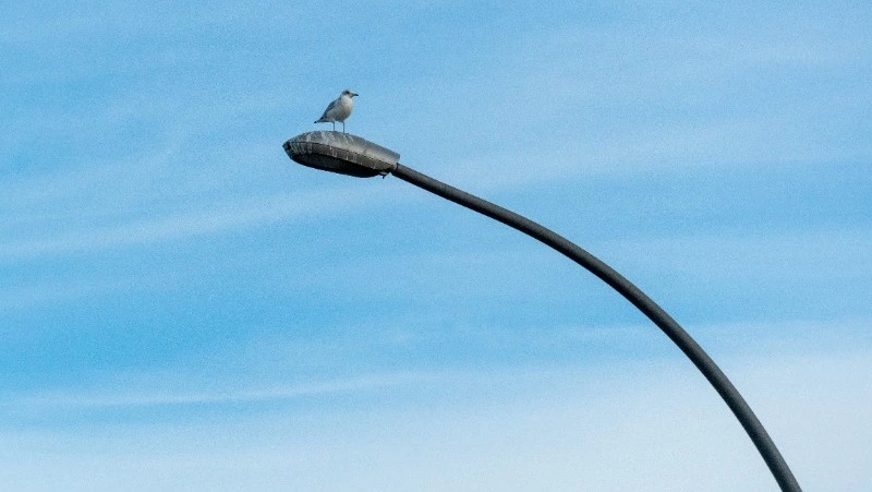 В Ногликах мужчине-инвалиду, на которого упал столб, выплатят полмиллиона рублей