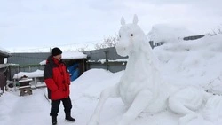 Снежный символ 2026 года стал новой достопримечательностью села на Сахалине