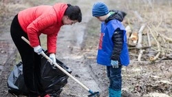 ВЦИОМ: почти 60% россиян планируют принять участие в весенних субботниках