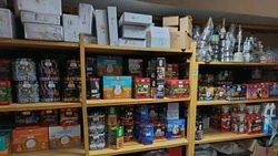 На севере Сахалина выявили магазин, где торговали опасной пиротехникой