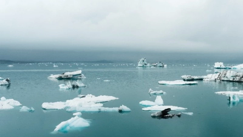 Экономическое сотрудничество РФ и США может начаться в Арктике