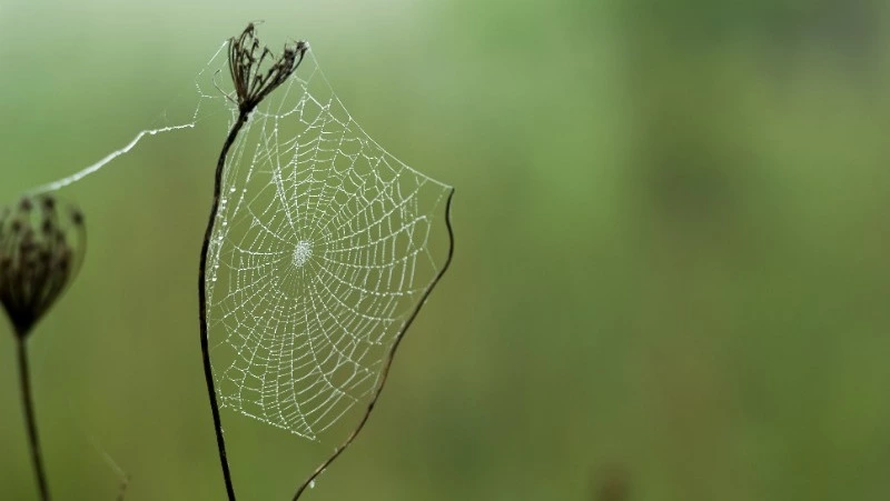 Приметы обо всем на 12 августа 2023 года: что можно и нельзя делать в этот день