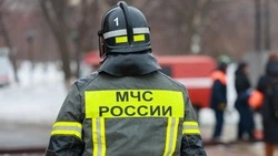 Пожарных вызывали тушить горящую покрышку у реки в Троицком
