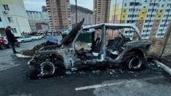 Очередной поджигатель автомобиля во Владивостоке попал на камеры видеонаблюдения 