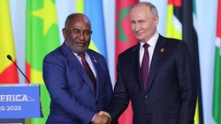 Более 30 проектов: что принес экономический форум на саммите «Россия — Африка»