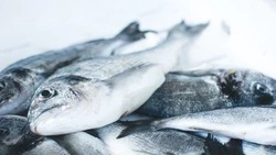 Более 4 тонн горбуши не прошли ветеринарно-санитарную экспертизу на Сахалине