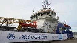 На Сахалине Росморпорту не удалось отсудить страховку за аварию на буксире