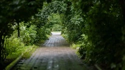 День без осадков спрогнозировали синоптики в Южно-Сахалинске 28 августа