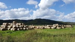 Углегорские аграрии перевыполнили план по заготовке сена и картофеля