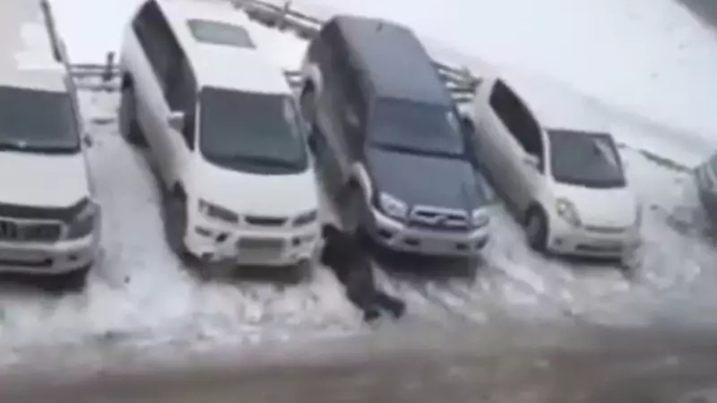 На улице Южно-Сахалинска никто не подошел к ползущему по снегу мужчине