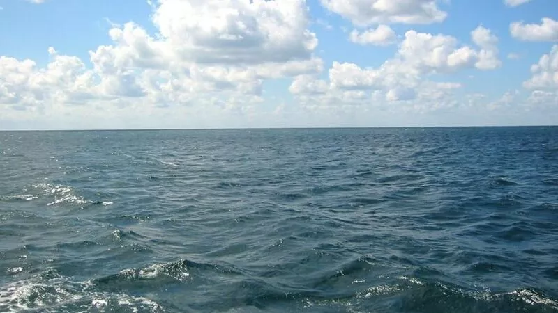 Приехавший на Сахалин подделал документы, чтобы пойти работать матросом