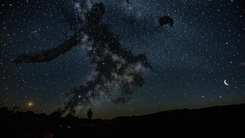 Львы посветят день друзьям, Скорпионы используют «оружие»: гороскоп на 14 мая