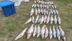 Сотрудники полиции задержали браконьера-сеточника в Аниве