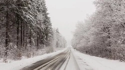 Рейсы 12 автобусных маршрутов на Сахалине отменят из-за приближающегося циклона