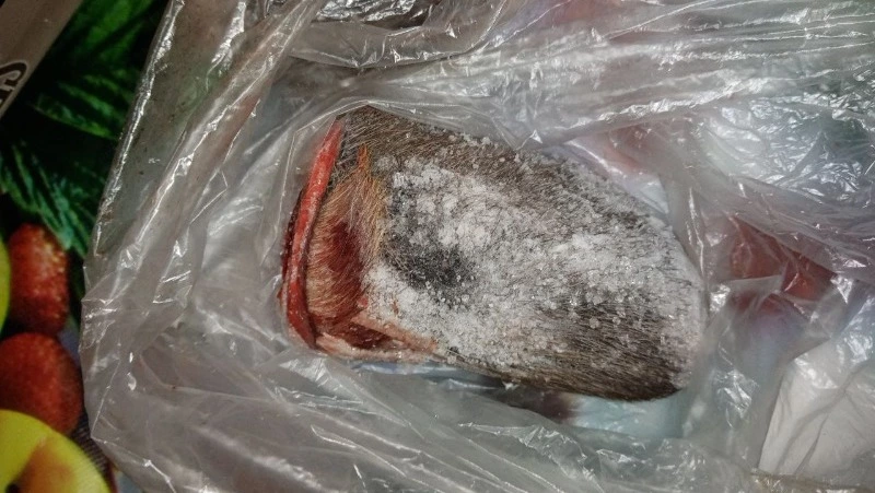 Следком показал кадры с места обнаружения разделанных туш оленей, убитых в Охе