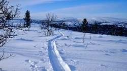 Движение общественного транспорта ограничили на автодороге Долинск — Быков 20 декабря