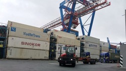 Почти 17 тысяч тонн рыбы и морепродуктов экспортировали из Приморья и Сахалина за неделю