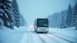 Рейсы еще одного автобуса на Сахалине отменят из-за непогоды