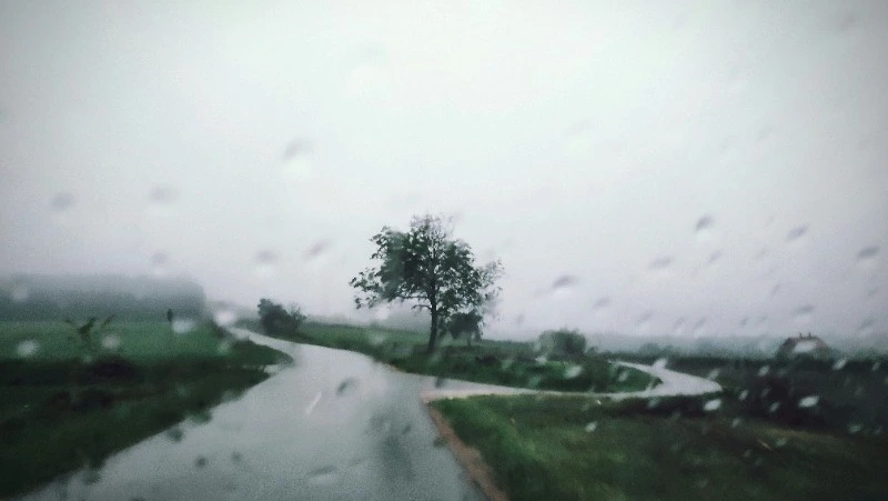 Слабый дождь и пасмурное небо: прогноз погоды в Южно-Сахалинске на 13 июля