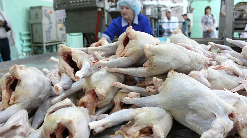 Сахалинский минсельхоз отчитался о работе за 2016 год