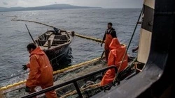 На реках севера Сахалина введут режим пропуска рыбы