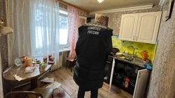 Мужчина ударил кухонным ножом свою знакомую на Сахалине