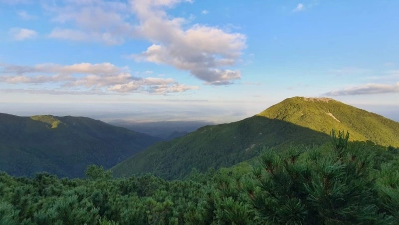 Останки двоих членов экипажа Ту-2 обнаружили в ходе поисковой экспедиции в Смирных