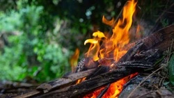 Спасатели предупредили о продолжении пожароопасного периода в Анивском районе 