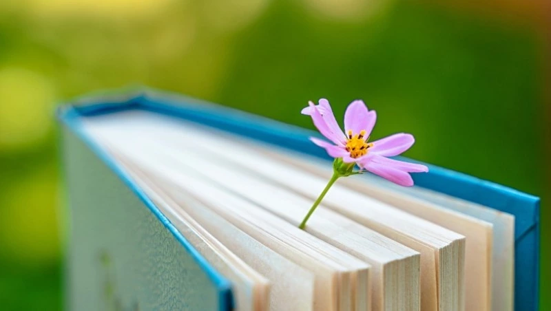 Вы умнее 80% людей? Пройдите ТЕСТ из 9 вопросов и узнайте