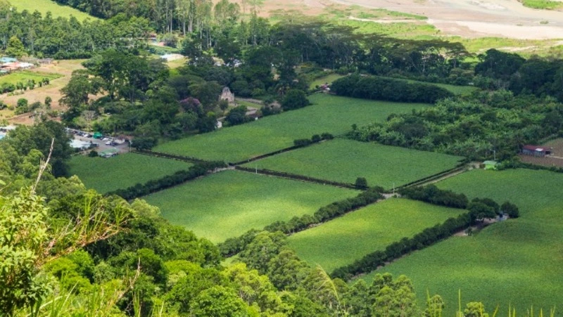 Приставам не удалось забрать землю из-за стоявшего на ней дома должника из Долинска