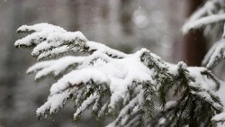 Синоптики рассказали, какая погода ждет сахалинцев и курильчан с 20 по 26 декабря