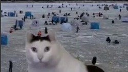 «Слово рыбака. Сопли на льду»: забавный ролик с рыбалки показали жителям Сахалина