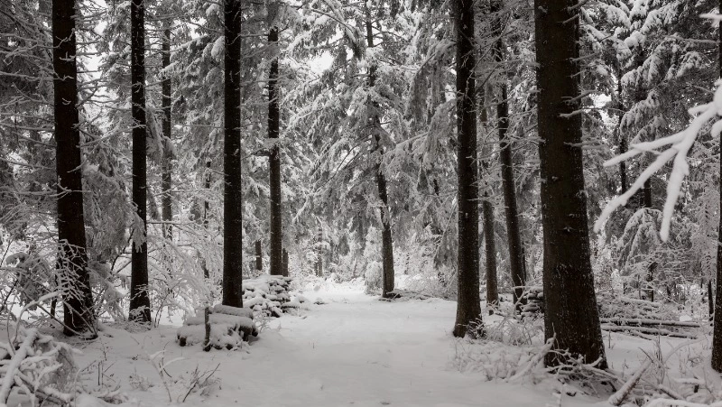 Народные приметы на 2 декабря 2023: что нельзя делать в этот день