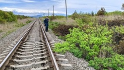 Пожарные потушили крупное возгорание возле ж/д путей в Холмском районе