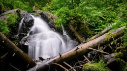 От ВЭФ до ВЭФ:  как Сахалин работает с инвесторами