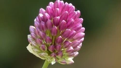 Приметы обо всем на 19 мая 2023 года: что можно и нельзя делать в этот день