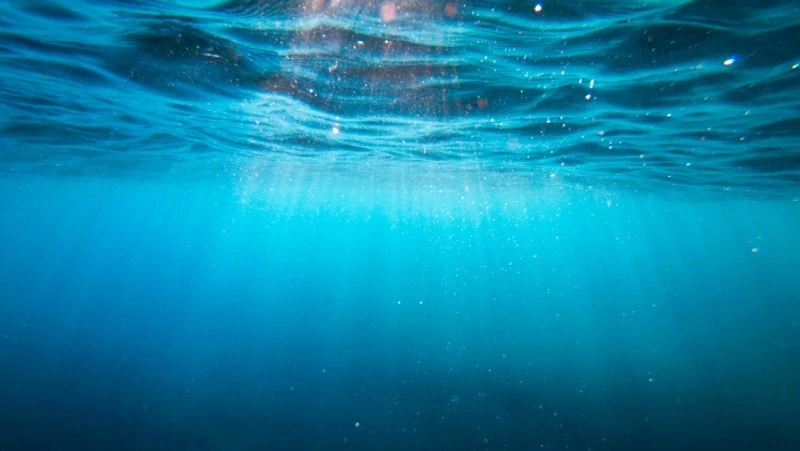 Водолаз из Приморского края пропал в море на юге Сахалина