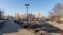 Южно-Сахалинск готовится к Новому году: мэр проверил зимнее содержание скверов