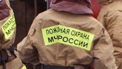 Курятник загорелся в Анивском районе 11 апреля