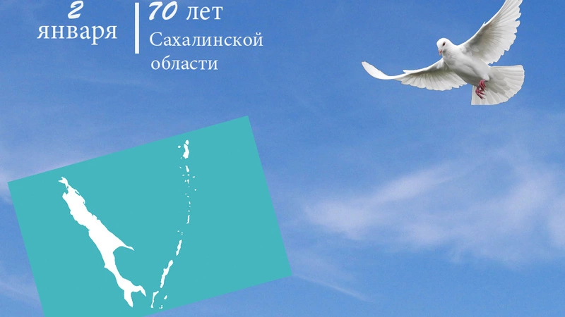 Проект «ПроОстрова»