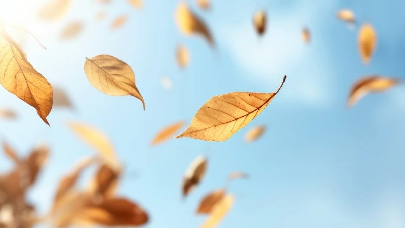 Прохладная погода придет в Южно-Сахалинск 19 сентября