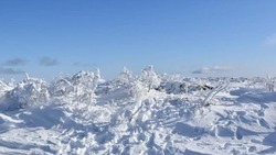 Лавинную опасность прогнозируют на юге Сахалина в ближайшие сутки 