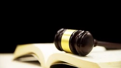 Суд взыскал с «Техпромсервиса» 115 млн рублей в пользу совхоза «Корсаковский»