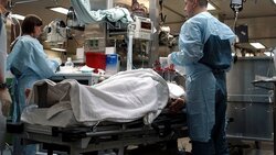 У россиянина обнаружили сибирскую язву