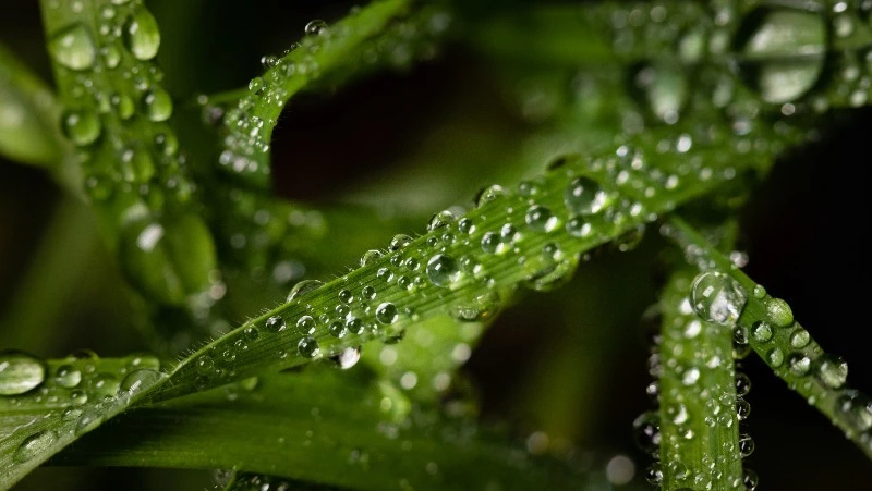 Приметы обо всем на 7 июня 2023 года: что можно и нельзя делать в этот день